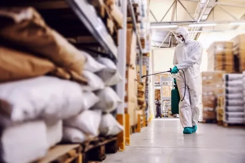 Pest-Proofing RAK Warehouses: Common Storage Pest Issues in Free Zones