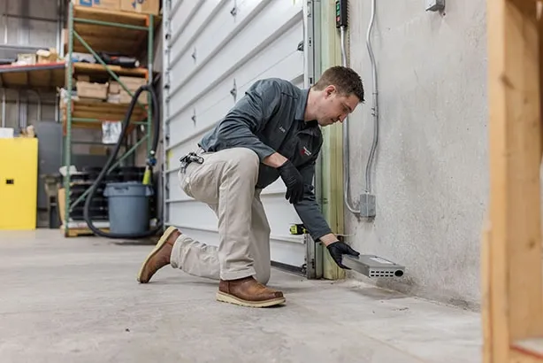 Managing Stored Product Pests in RAK Warehouses