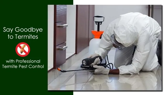 Pre-Construction Termite Treatment: A Buyer&rsquo;s Guide for RAK Real Estate