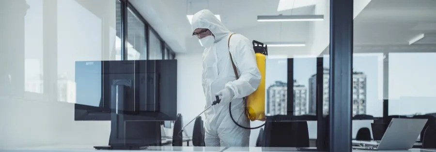 Pest Control for School Cafeterias & Kitchens in RAK